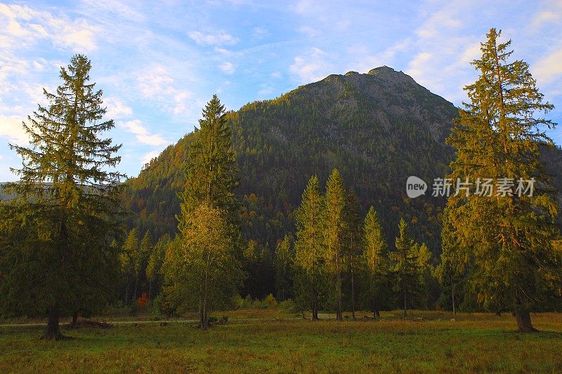 阿尔卑斯山景观在奥地利Tirol，附近Karwendel山脉和巴伐利亚阿尔卑斯山在德国-雄伟的高山景观在金色的秋天，戏剧性的Tyrol雪山全景和田园式的Tirol草地，奥地利