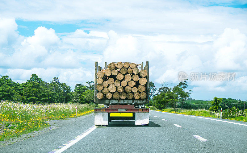 新西兰北岛，一辆伐木卡车行驶在北岛的第一国道上