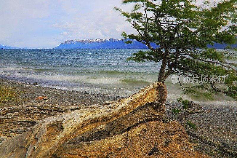 比格尔海峡湾水-乌斯怀亚景观-火地岛，阿根廷