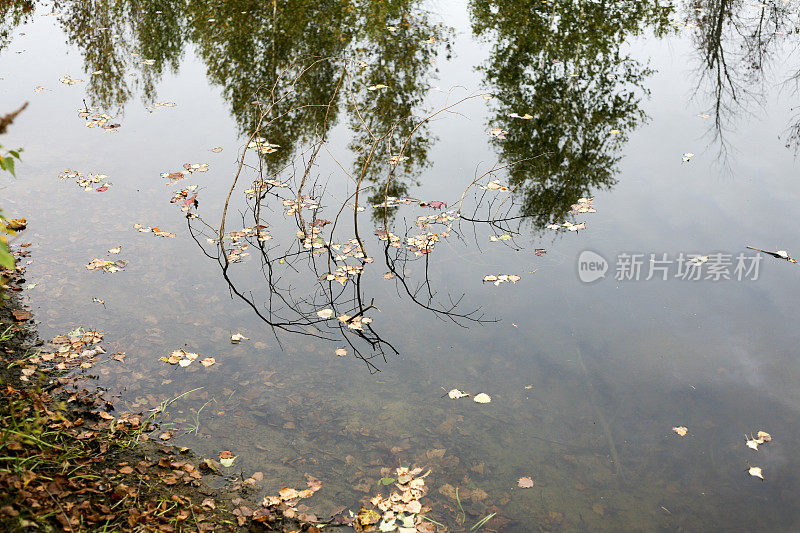 加拿大魁北克夏威尼根美丽的秋天风景。