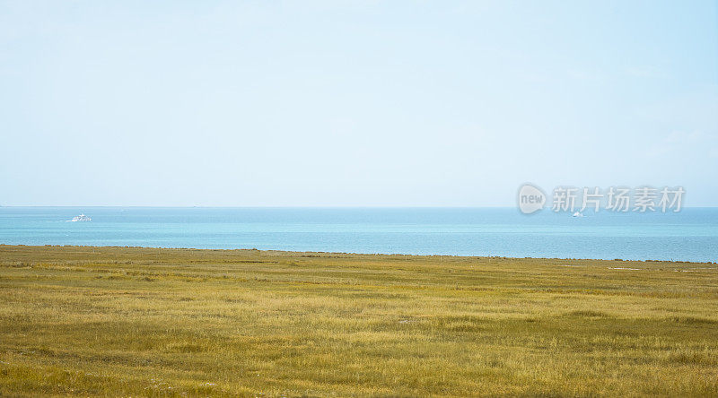 在青海湖