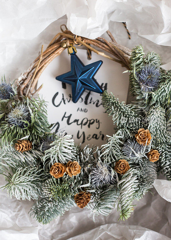 装饰、种植、工艺理念。新年手工礼品，用树枝看起来像被雪覆盖，他们装饰着小棕色的松果和美妙的蓝色星星