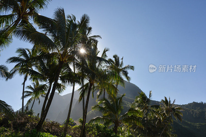 美丽的纳帕利海岸日落在科伊海滩在考艾岛北岸