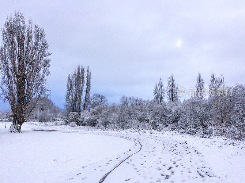 萨尔布鲁公园的雪。威托利亚-加斯泰兹。西班牙