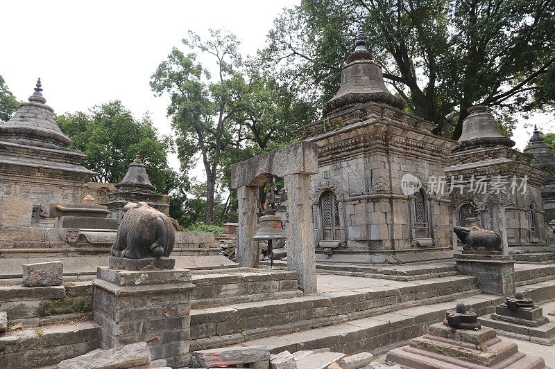 Pashupatinath神庙的庙宇大门和神殿