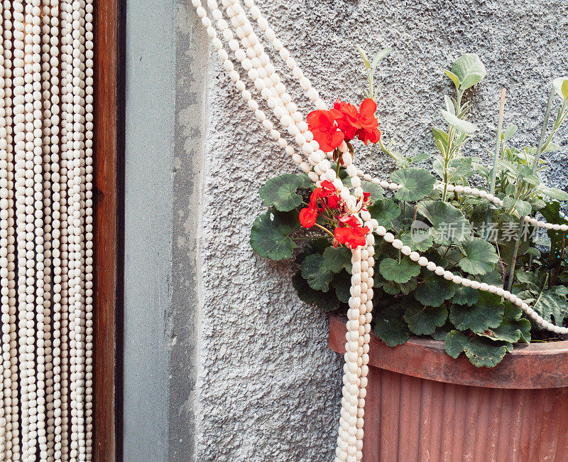 串珠与花卉植物缠绕在一起