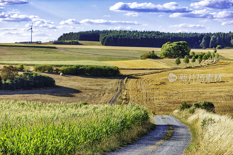 乡村景观中的乡村道路(HDRi)