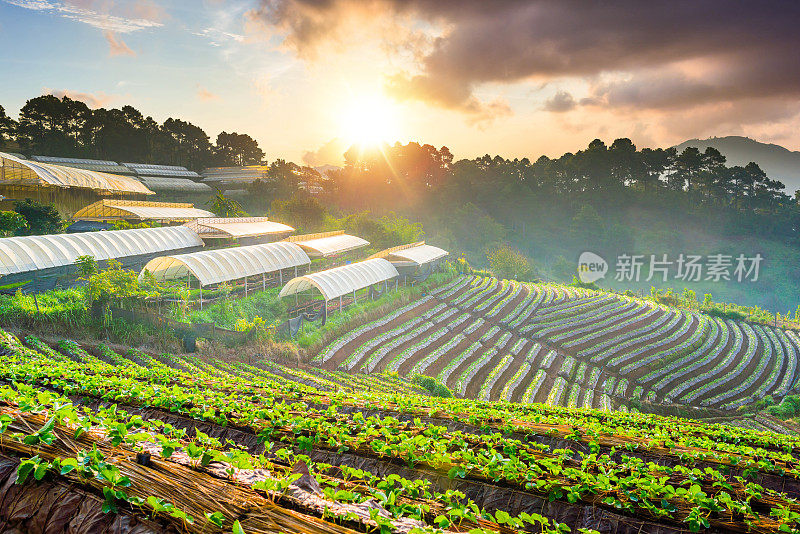 泰国北部的山景，日出和薄雾