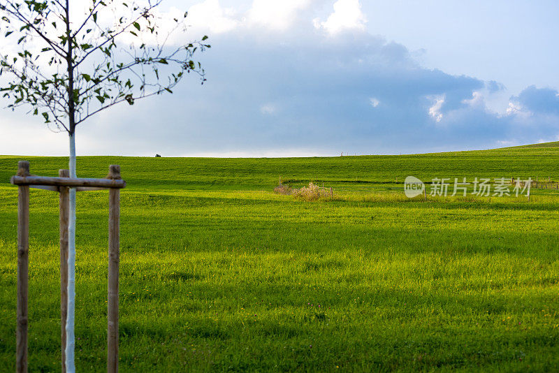 Schwangau和Fussen小镇之间的景观，德国