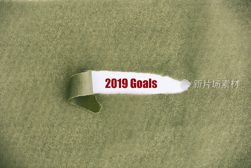 2019年的目标