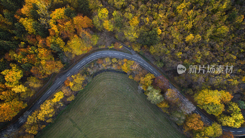 穿越秋天森林的道路-鸟瞰图