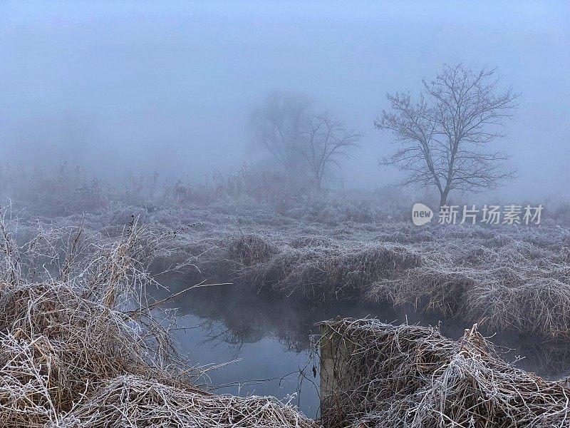 冬天的早晨在公园里