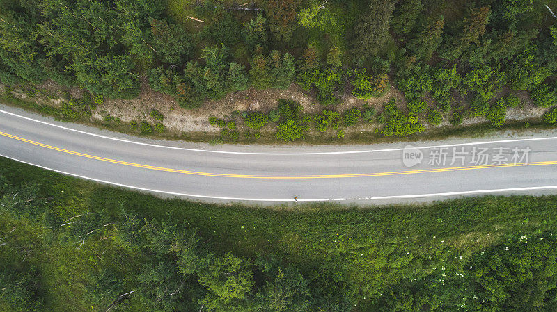 阿拉斯加公路和森林鸟瞰图