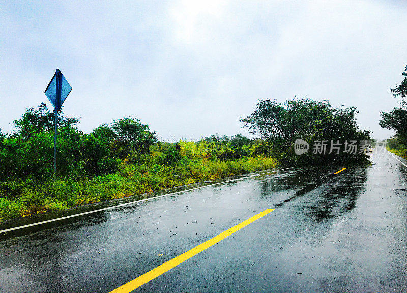 危险的道路:雨，风，倒下的树
