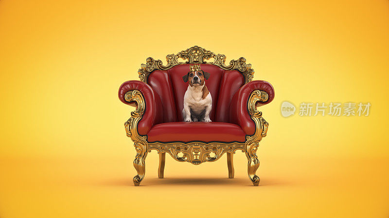 坐在椅子上戴着皇冠的狗。三维渲染