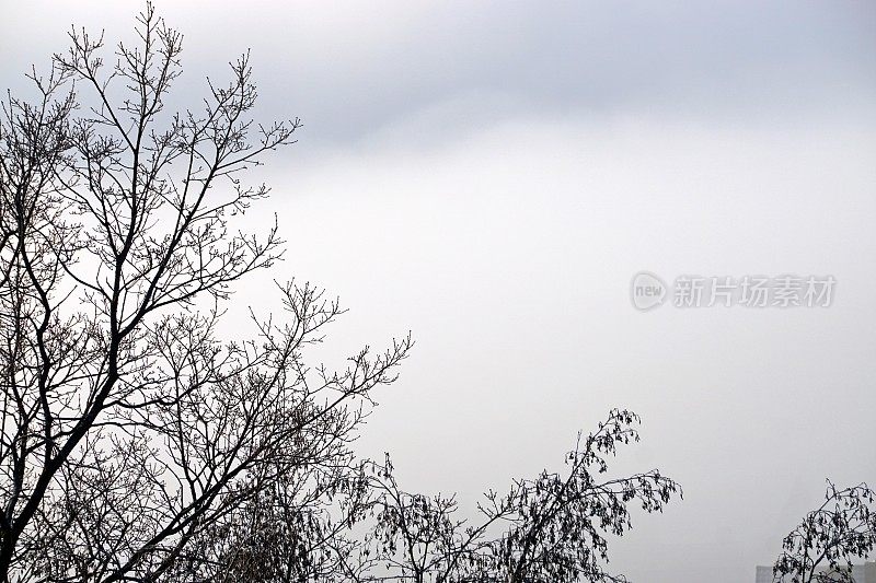 一场暴风雪过后，在Allgäu阿尔卑斯山上空，霍普芬西在前景中。Ost-Allgau,巴伐利亚,德国。