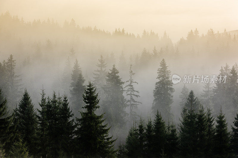 雾蒙蒙的山地景观。