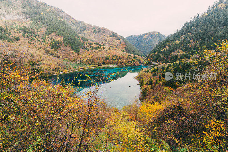 观赏风景优美的木山和湖泊景观，中国九寨沟国家公园