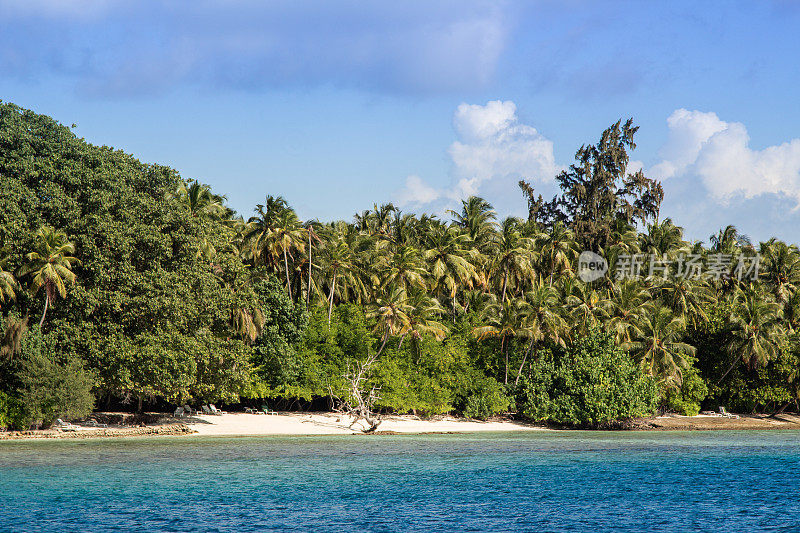 热带岛屿，梦想海滩的棕榈树