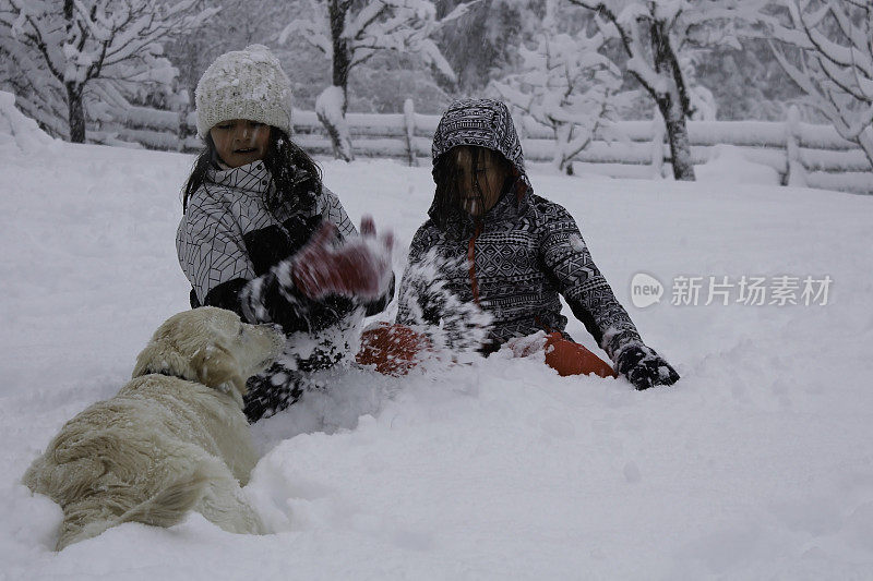 女孩们带着狗在雪地里玩得很开心