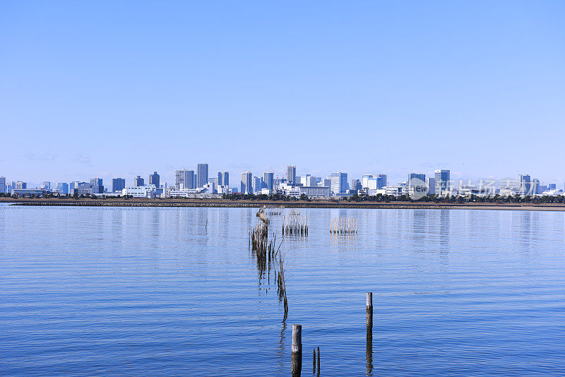 从东京湾地区在东京城市天际线对晴朗的天空