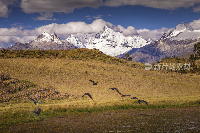 在秘鲁安第斯山脉的瓦拉兹附近，鸟群在飞翔，卡迪勒拉山脉全景