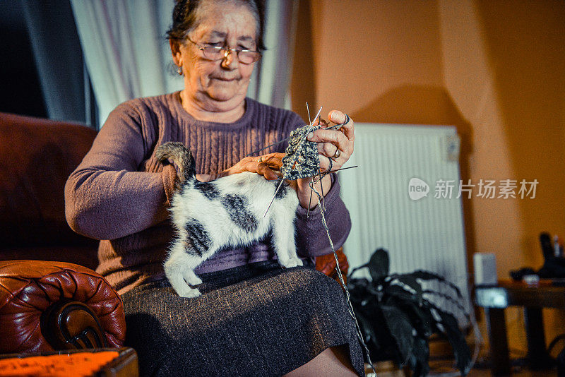 在隔离期间，一名老妇人在家织毛衣，和她的猫在一起