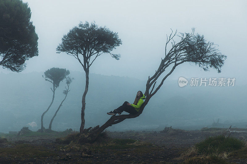 在乞力马扎罗山地区，一个女人的剪影坐在树上