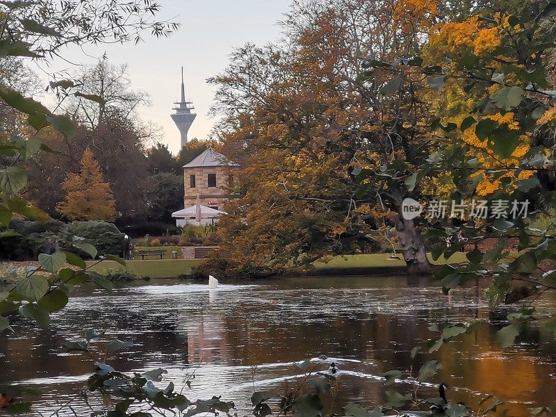 Düsseldorf由湖泊和喷泉构成的大众花园秋景