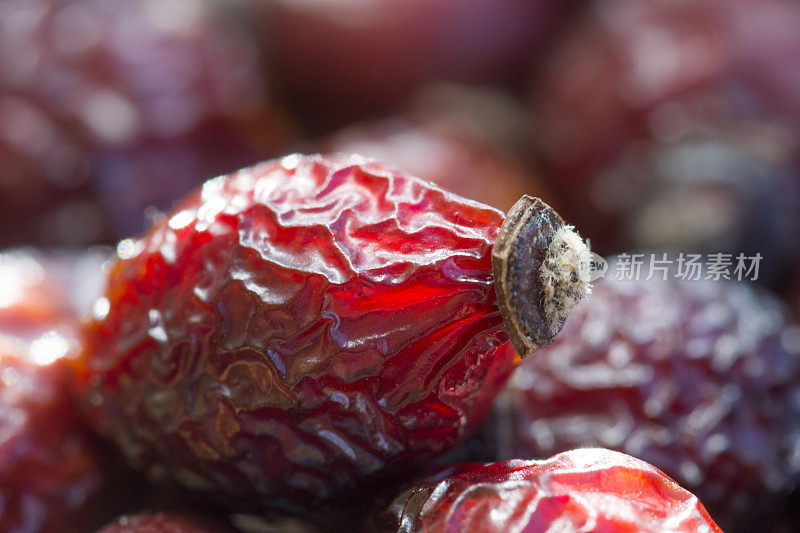 干燥的蔷薇浆果特写。为芳香而有疗效的茶，含有抗氧化剂。干果的背景。
