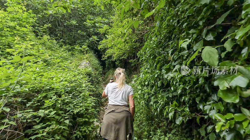 女徒步旅行者沿着小径穿过茂密的森林