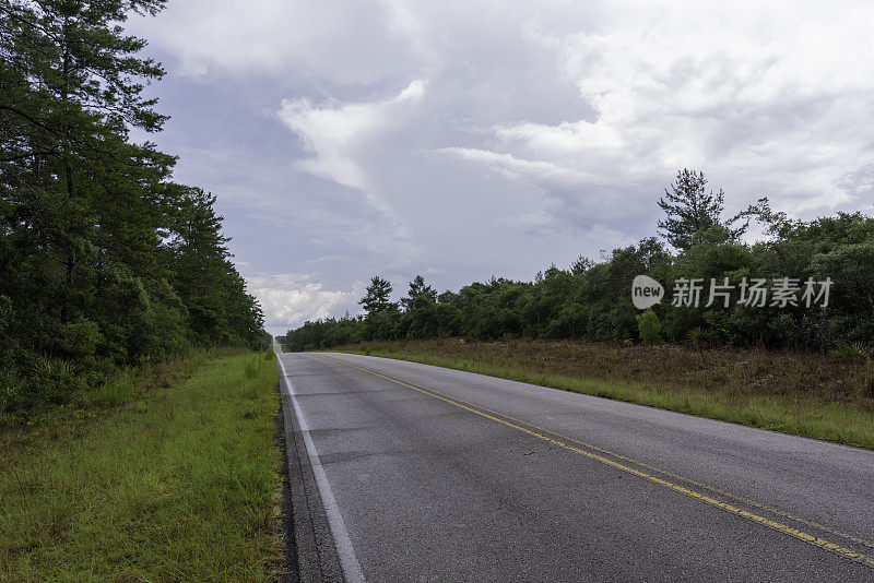 沿着潮湿的柏油路的左侧边缘观看，沿着连绵起伏的景观，穿过乌云密布的沙松林