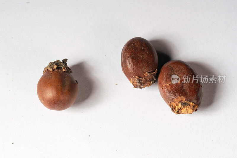 中药白底荔枝精