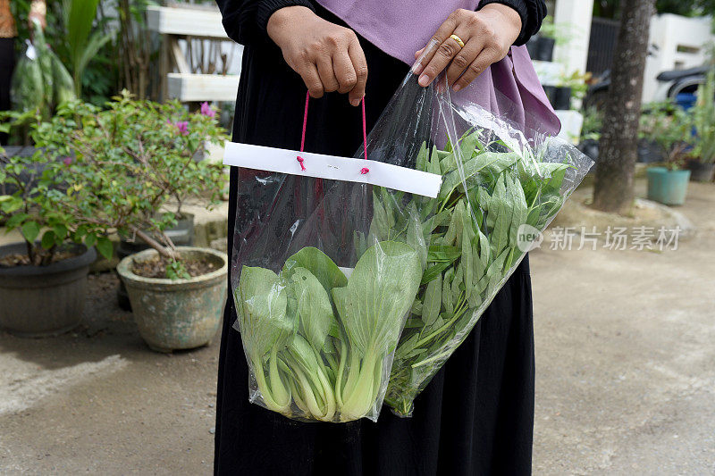 芥菜叶袋