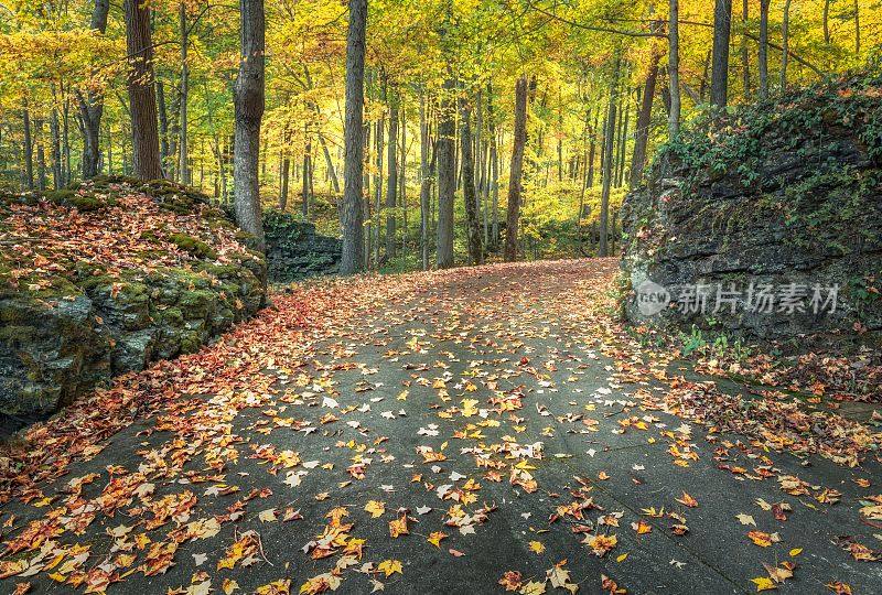 秋叶飞扬的小路，是大自然的静谧之地