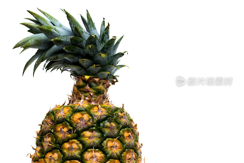 高关键照片成熟的菠萝专业设计元素