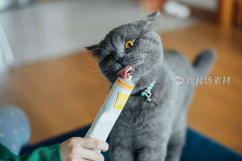 猫吃麦芽有助于消除毛球