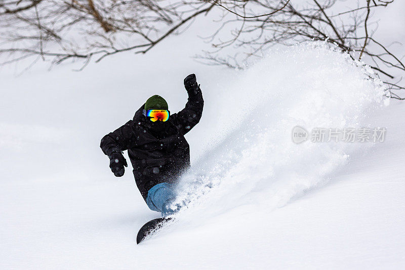 滑雪运动员在日本北部著名的粉雪上滑雪