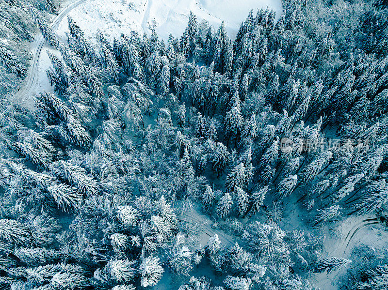 斯洛文尼亚美丽的冰雪森林鸟瞰图