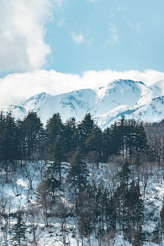 山顶在日本下雪