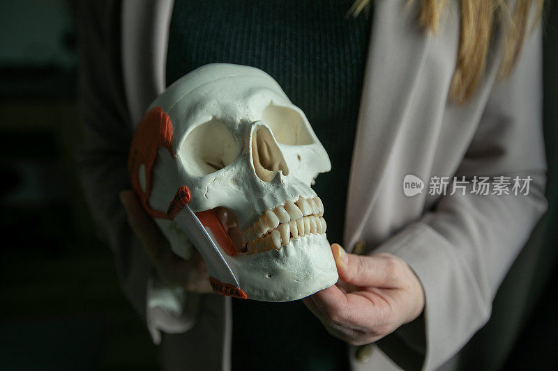 裁剪照片的女医生持有演示自然人类头骨模型在手中。颌面外科。