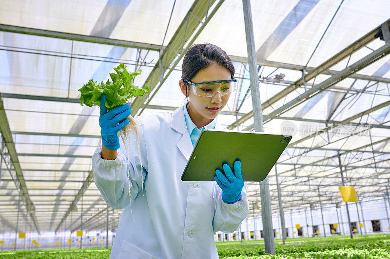 一位女性研究员在智能温室分析蔬菜