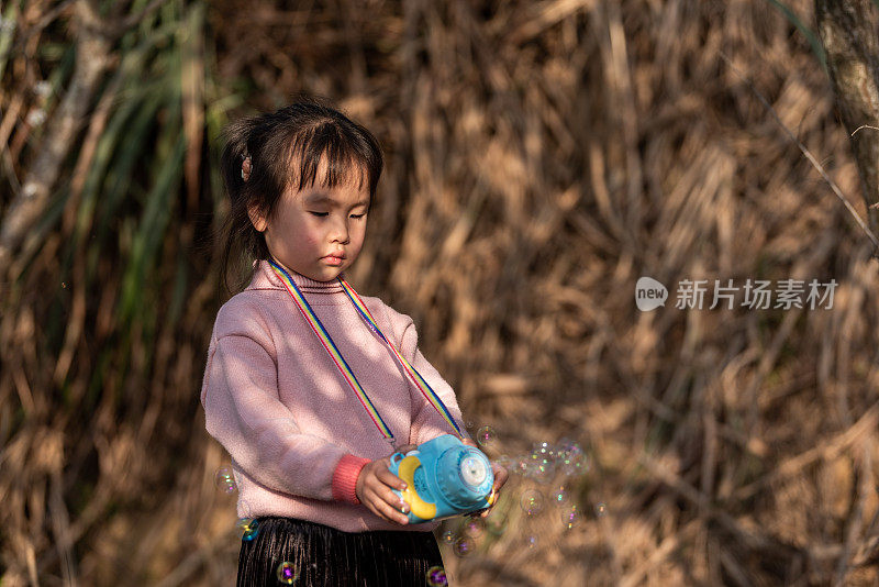 在黄昏的梅林里