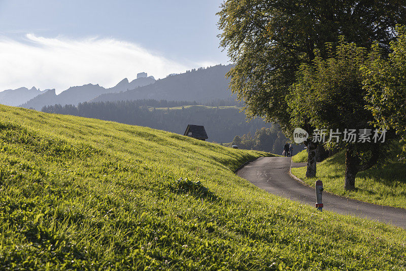瑞士施维茨斯图斯高山村庄的乡村道路和草地。