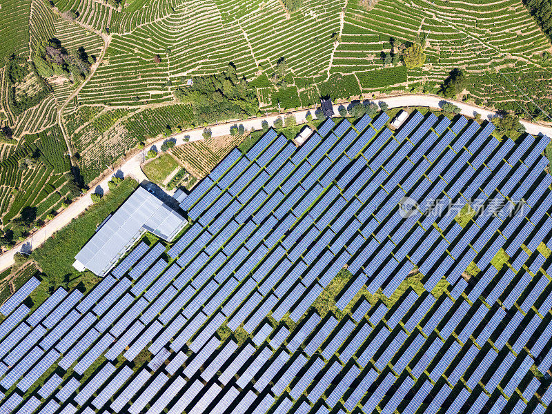 俯瞰农场、茶园和太阳能发电厂