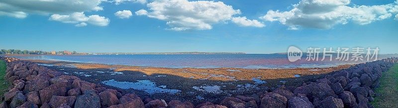 芬迪湾的海底全景