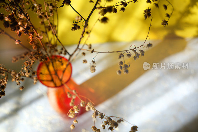 花瓶用干草植物，田野干的小穗在背景投下阴影。简约现代的室内装饰理念。侘寂式美学