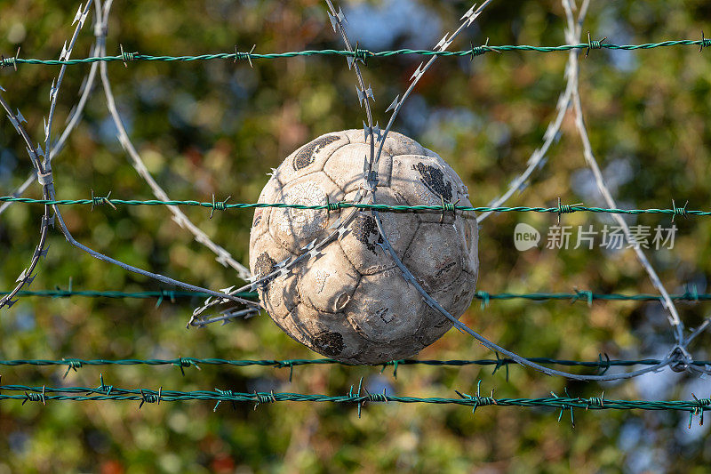 旧的，被遗弃的足球被困在边境的倒刺铁丝网里，模糊的树木背景，安全围栏