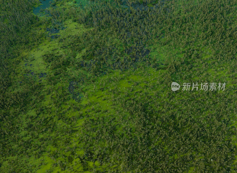 世界湿地之一的龙安省朗森湿地保护区航拍摘要