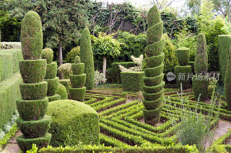 植物园，丰沙尔，马德拉